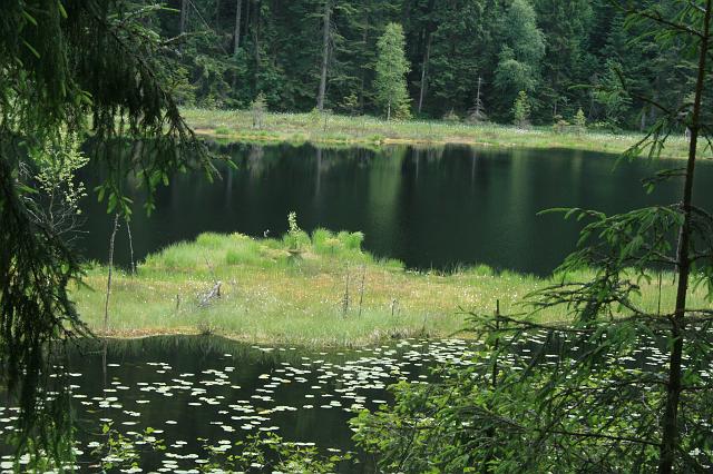 Huzenbacher See 2008 Bild 02